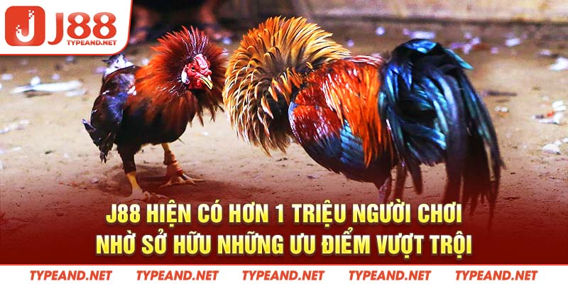 J88 hiện có hơn 1 triệu người chơi nhờ sở hữu những ưu điểm vượt trội