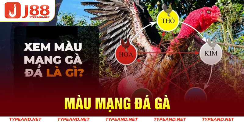 Màu mạng đá gà