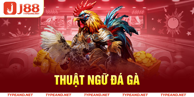 Thuật ngữ đá gà