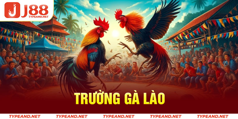 Trường gà Lào